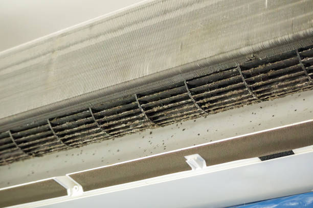 Best Air Vent Cleaning Services  in Noroton Heights, CT